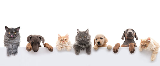 How Global MOQ Verifies Manufacturers: Ensuring Quality and Reliability